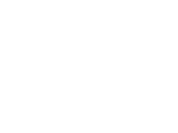 AdaNomad
